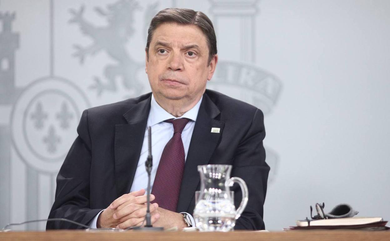 Planas analiza las nuevas líneas de subvenciones para el sector agrícola