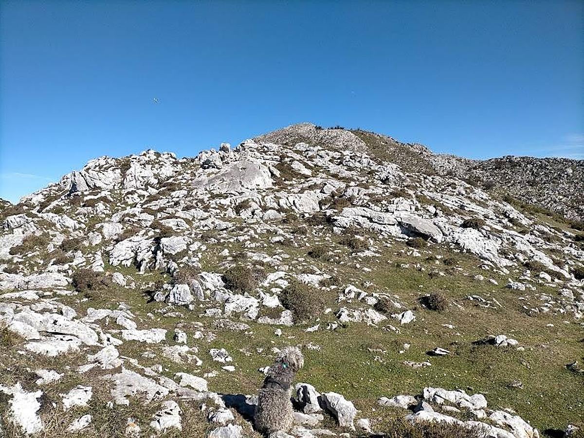 Fotos: Ruta hasta el pico La Mostayal