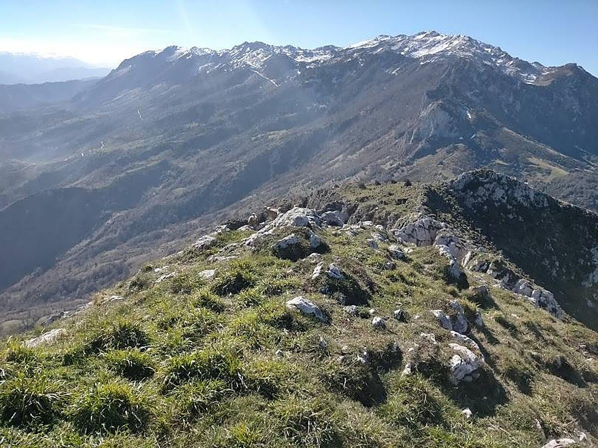 Fotos: Ruta hasta el pico La Mostayal