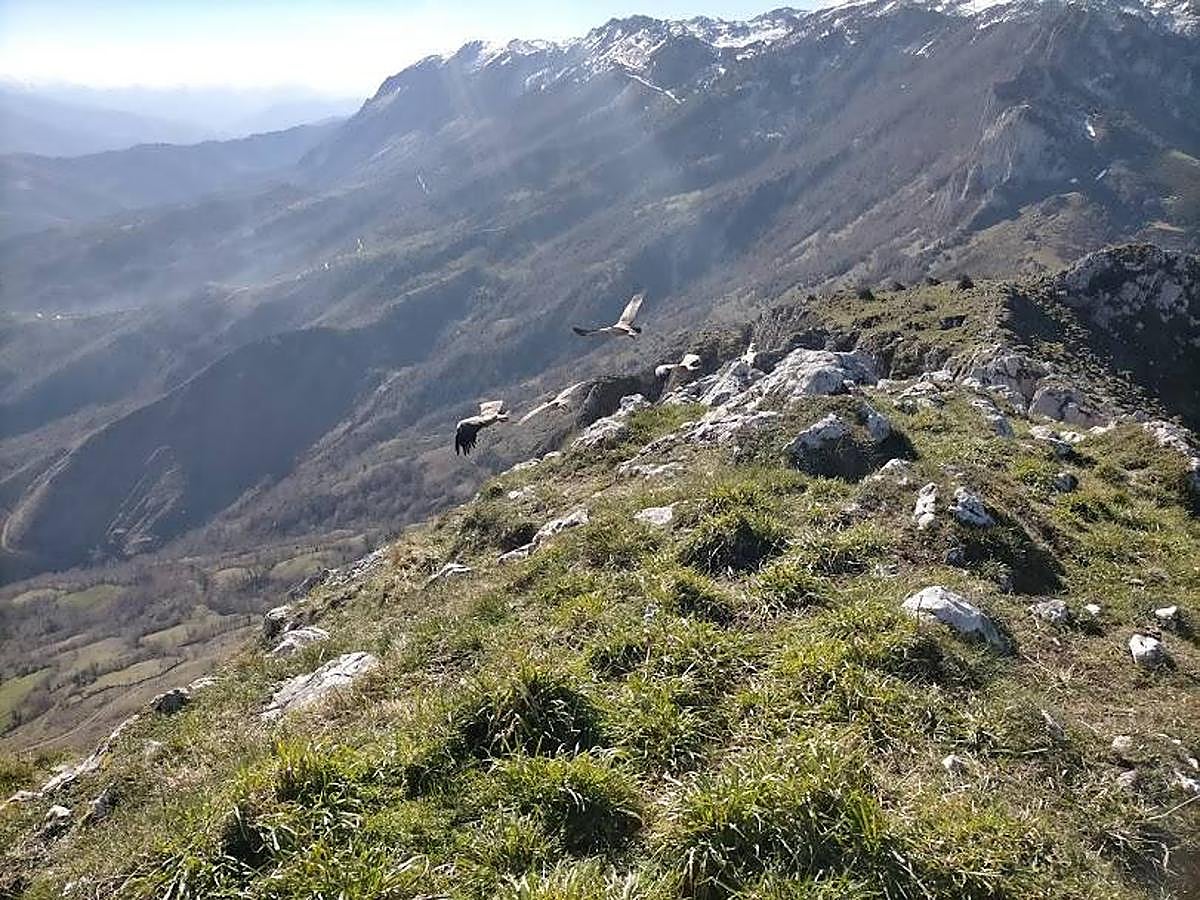 Fotos: Ruta hasta el pico La Mostayal