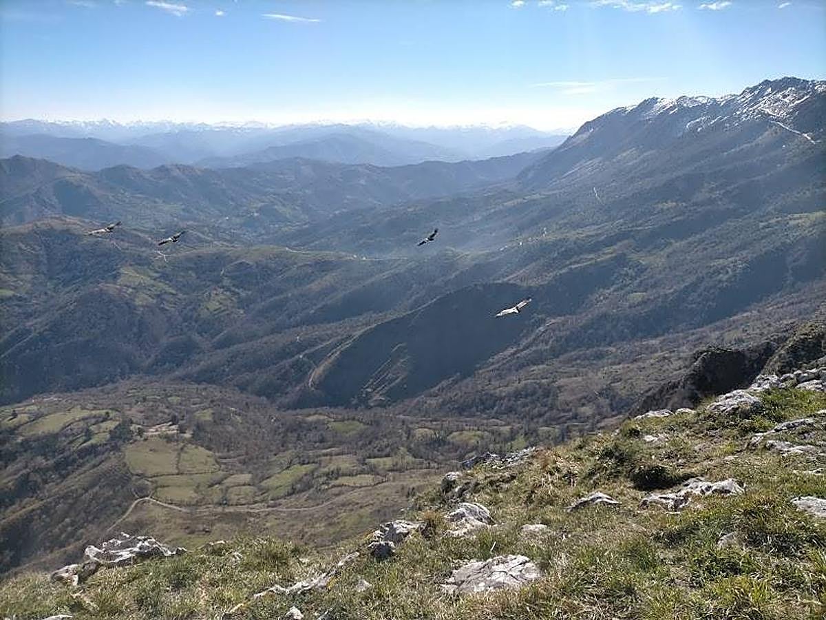 Fotos: Ruta hasta el pico La Mostayal