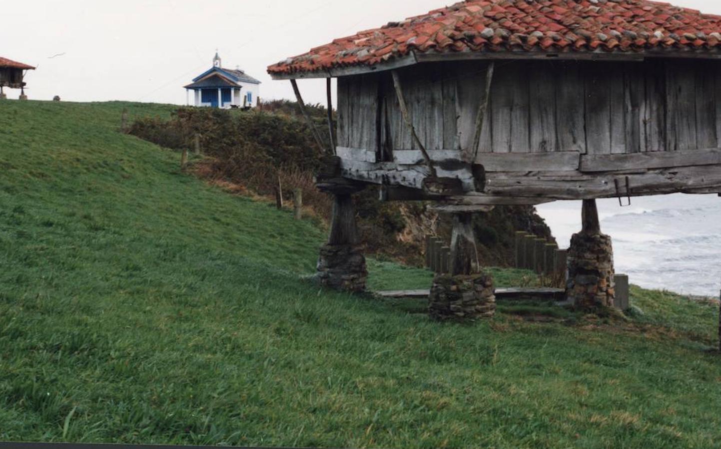 Campo de la Regalina (Cadavedo)