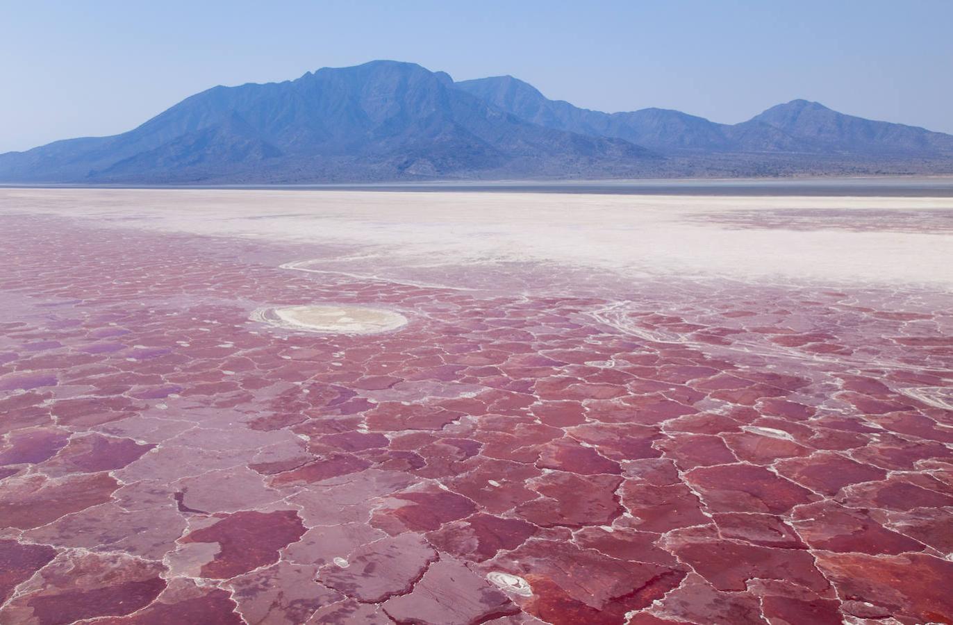 Lago Natron (Tanzania): ¿Sabías que el agua del Lago Natron es la más peligrosa de la tierra? Este lago que podrás localizar en Tanzania tiene una extensión de unos 800 kilómetros cuadrados y aunque es visible desde el espacio no tiene mucha agua, de hecho es poco profundo. Lo que lo hace especialmente peligroso, es que se trata de un lago de agua salada que tiene una muy alta concentración de minerales disueltos.