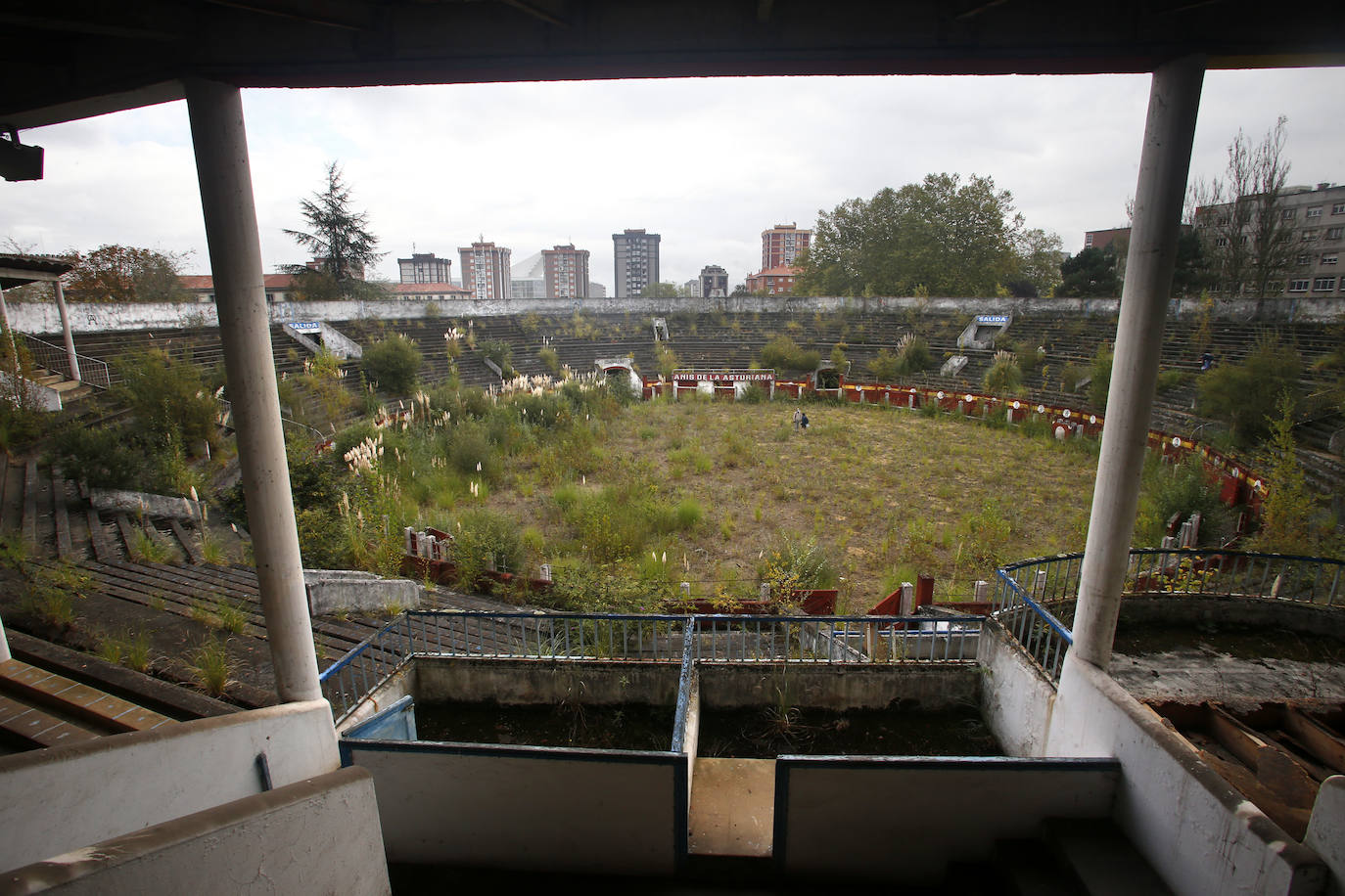 La plaza de toros de Oviedo data de 1889 y durante más de un siglo permaneció en actividad combinando las corridas taurinas con otras actividades lúdicas. A pesar de que en 2007 fue declarada Bien de Interés Cultural (BIC) la maleza y el abandono se ciernen sobre ella. Ayer, el Consejo de Patrimonio respondió de forma positiva a la consulta del Ayuntamiento sobre el proyecto de reforma y adaptación a nuevos usos, que quizás escriba un nuevo futuro para el emplazamiento. 