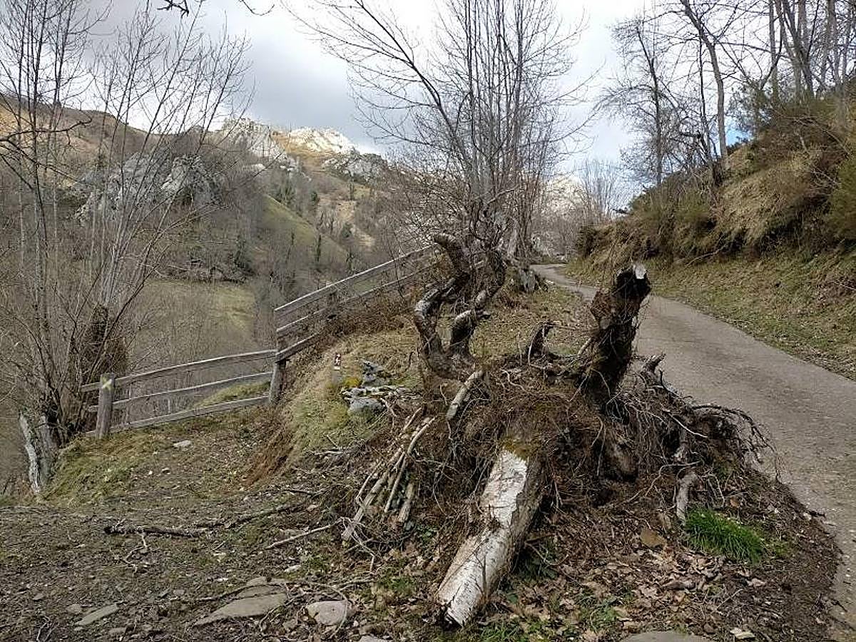 Fotos: Ruta del Valle del Río Medio