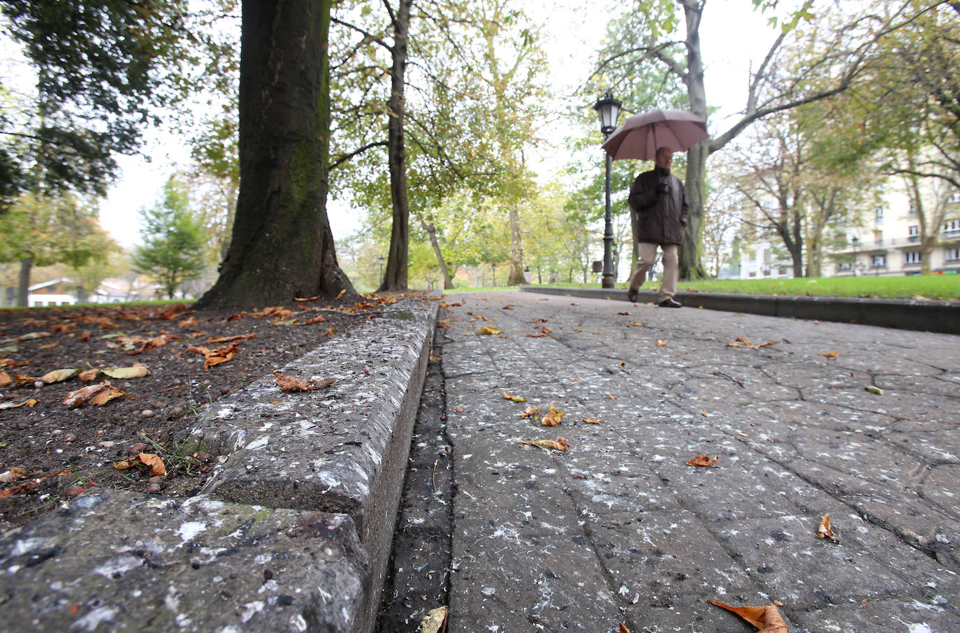 El plan director del Campo de San Francisco busca recuperar el pulmón verde para los ciudadanos e impulsar mejoras que le permitan recuperar el esplendor de épocas pasadas. Generaciones y generaciones se han criado corriendo entre sus árboles y caminos, convirtiéndole en fiel testigo de la historia de Oviedo