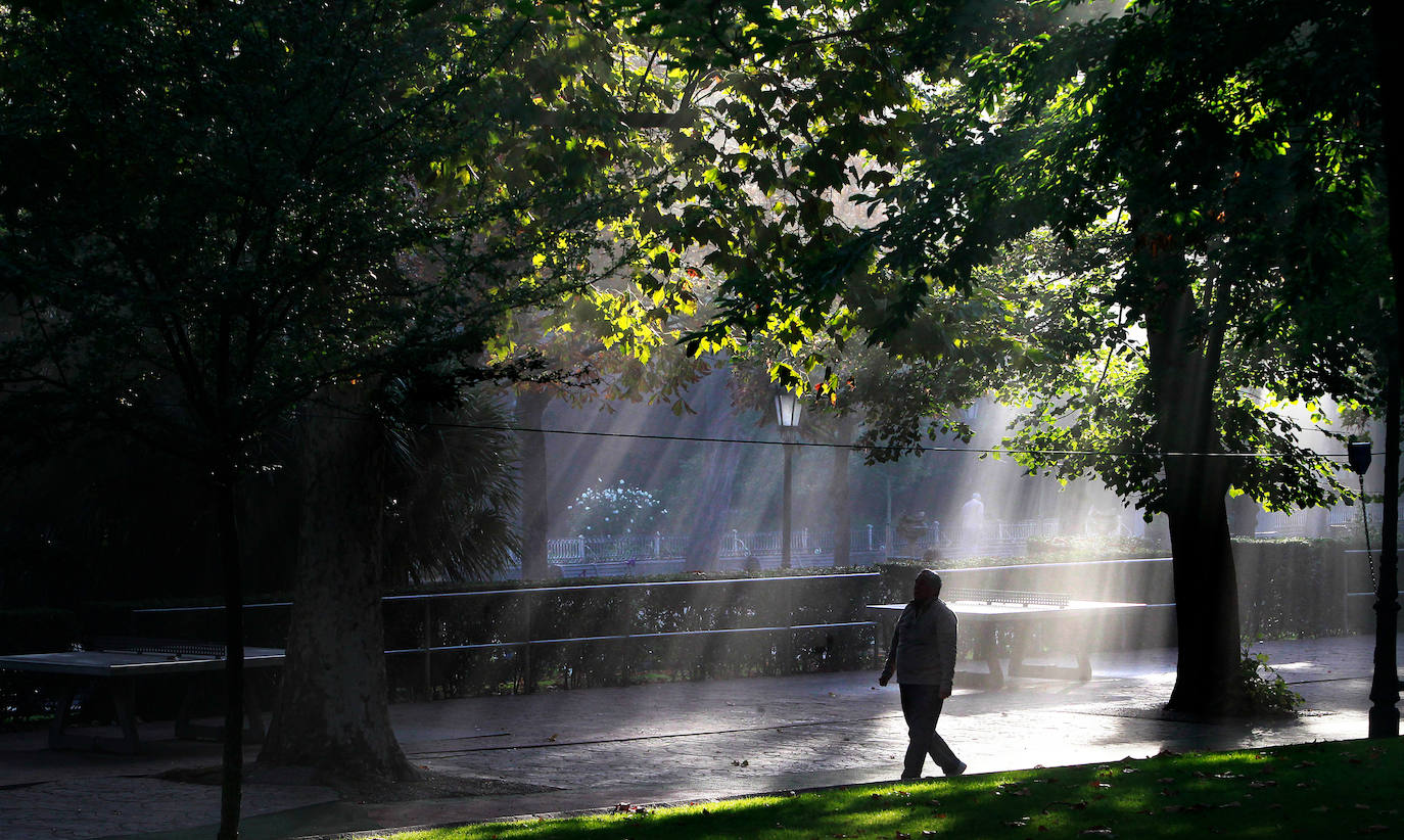 El plan director del Campo de San Francisco busca recuperar el pulmón verde para los ciudadanos e impulsar mejoras que le permitan recuperar el esplendor de épocas pasadas. Generaciones y generaciones se han criado corriendo entre sus árboles y caminos, convirtiéndole en fiel testigo de la historia de Oviedo