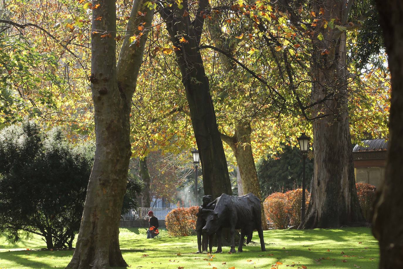 El plan director del Campo de San Francisco busca recuperar el pulmón verde para los ciudadanos e impulsar mejoras que le permitan recuperar el esplendor de épocas pasadas. Generaciones y generaciones se han criado corriendo entre sus árboles y caminos, convirtiéndole en fiel testigo de la historia de Oviedo
