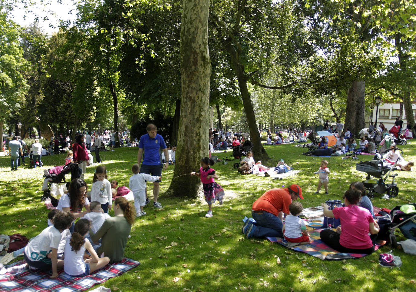 El plan director del Campo de San Francisco busca recuperar el pulmón verde para los ciudadanos e impulsar mejoras que le permitan recuperar el esplendor de épocas pasadas. Generaciones y generaciones se han criado corriendo entre sus árboles y caminos, convirtiéndole en fiel testigo de la historia de Oviedo