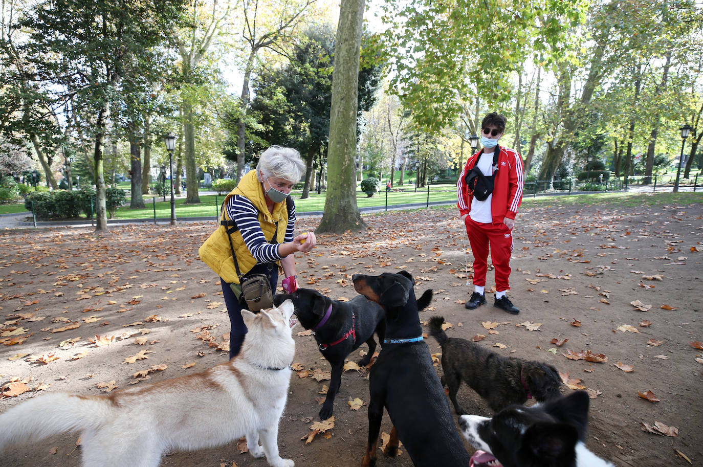 El plan director del Campo de San Francisco busca recuperar el pulmón verde para los ciudadanos e impulsar mejoras que le permitan recuperar el esplendor de épocas pasadas. Generaciones y generaciones se han criado corriendo entre sus árboles y caminos, convirtiéndole en fiel testigo de la historia de Oviedo