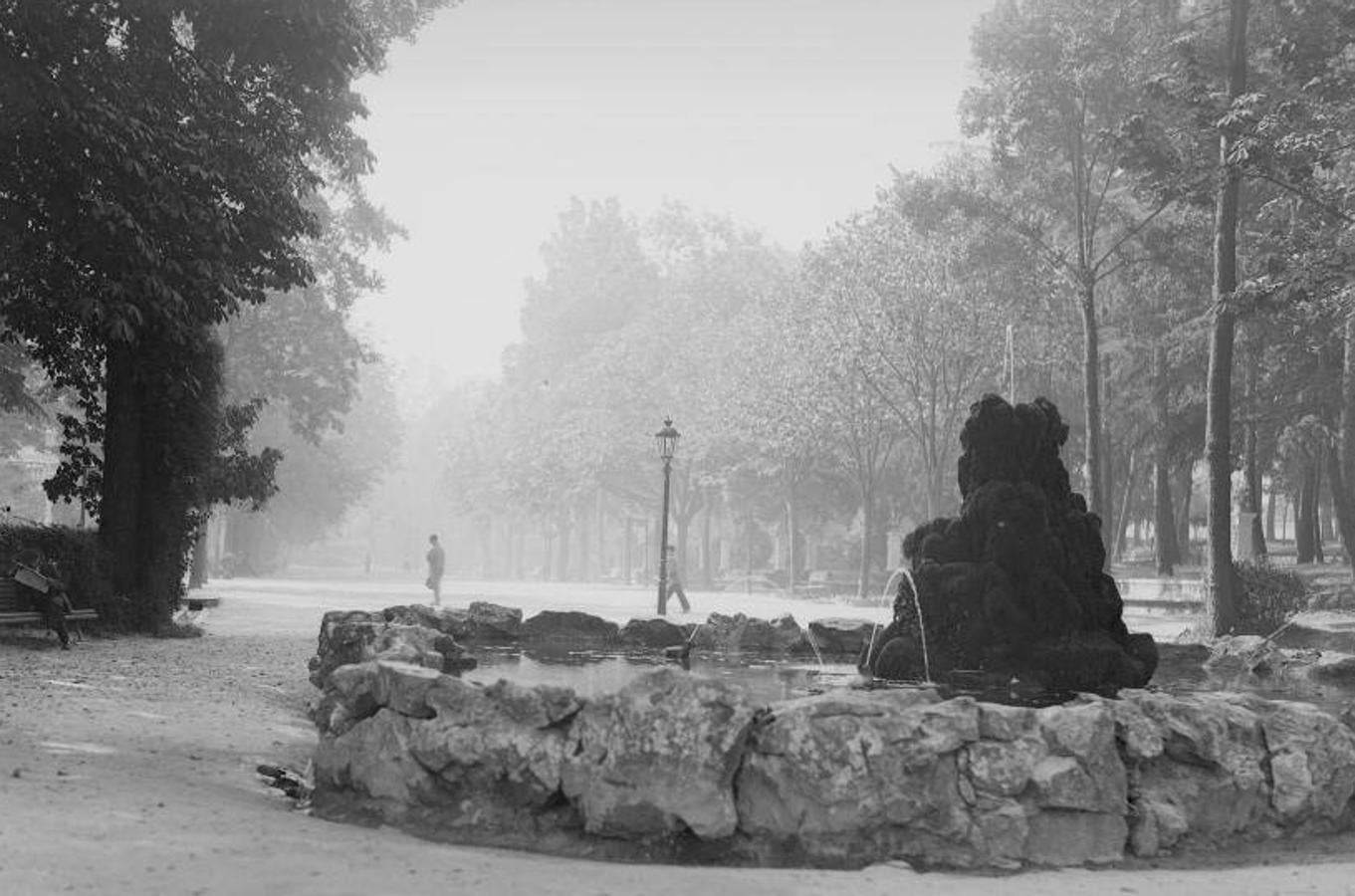 El plan director del Campo de San Francisco busca recuperar el pulmón verde para los ciudadanos e impulsar mejoras que le permitan recuperar el esplendor de épocas pasadas. Generaciones y generaciones se han criado corriendo entre sus árboles y caminos, convirtiéndole en fiel testigo de la historia de Oviedo