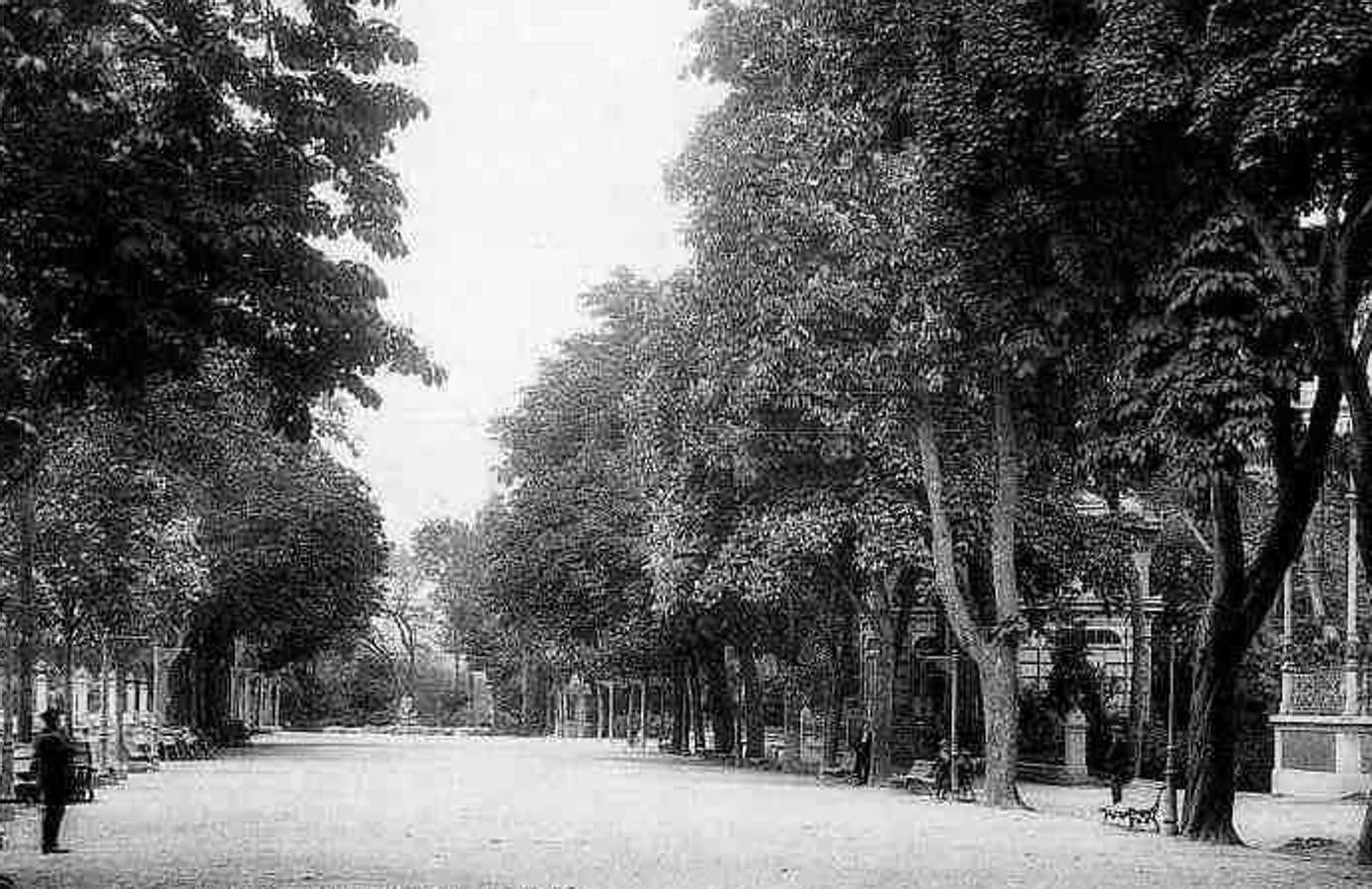 El plan director del Campo de San Francisco busca recuperar el pulmón verde para los ciudadanos e impulsar mejoras que le permitan recuperar el esplendor de épocas pasadas. Generaciones y generaciones se han criado corriendo entre sus árboles y caminos, convirtiéndole en fiel testigo de la historia de Oviedo