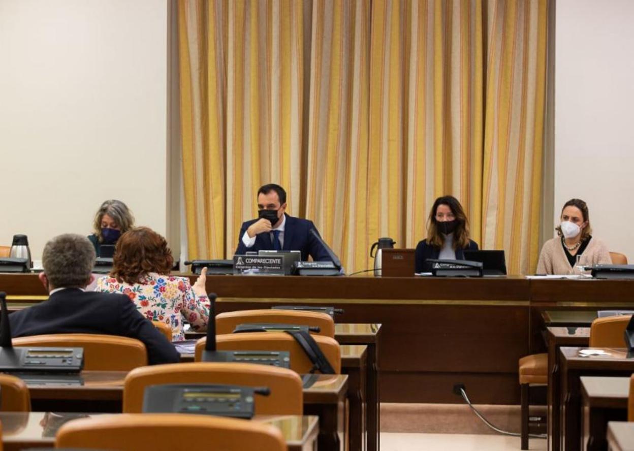 Sergio Vázquez, en el centro, ayer en la comisión. 