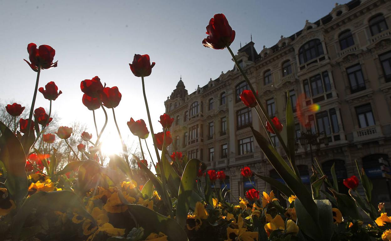 La primavera en viedo desembarcará el 20 de marzo a las 10.37 horas
