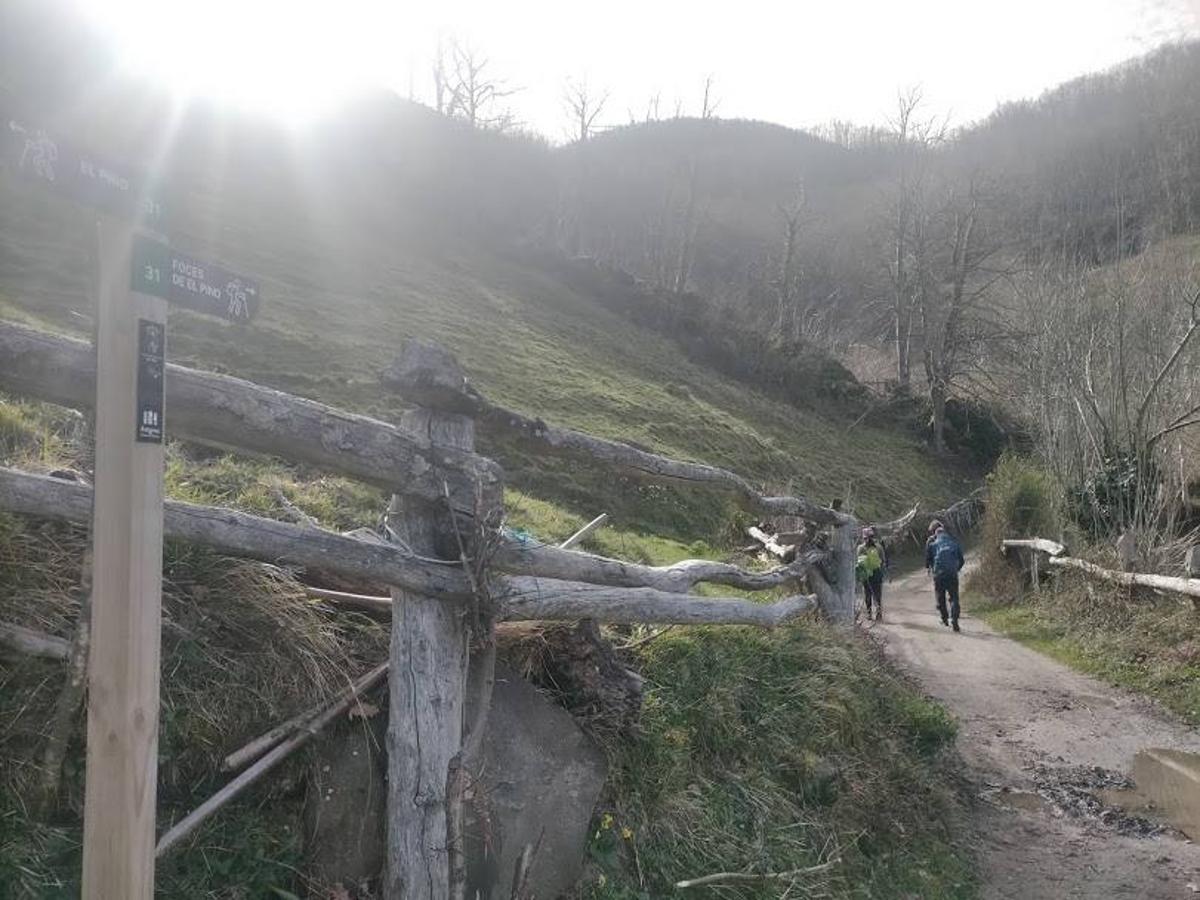 Fotos: Ruta a Peña Redonda desde El Pino