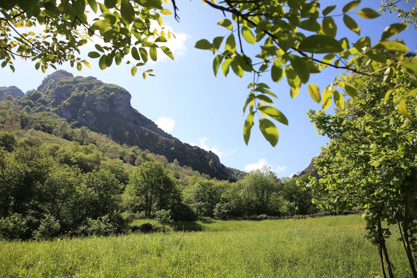 Parque Natural de Redes