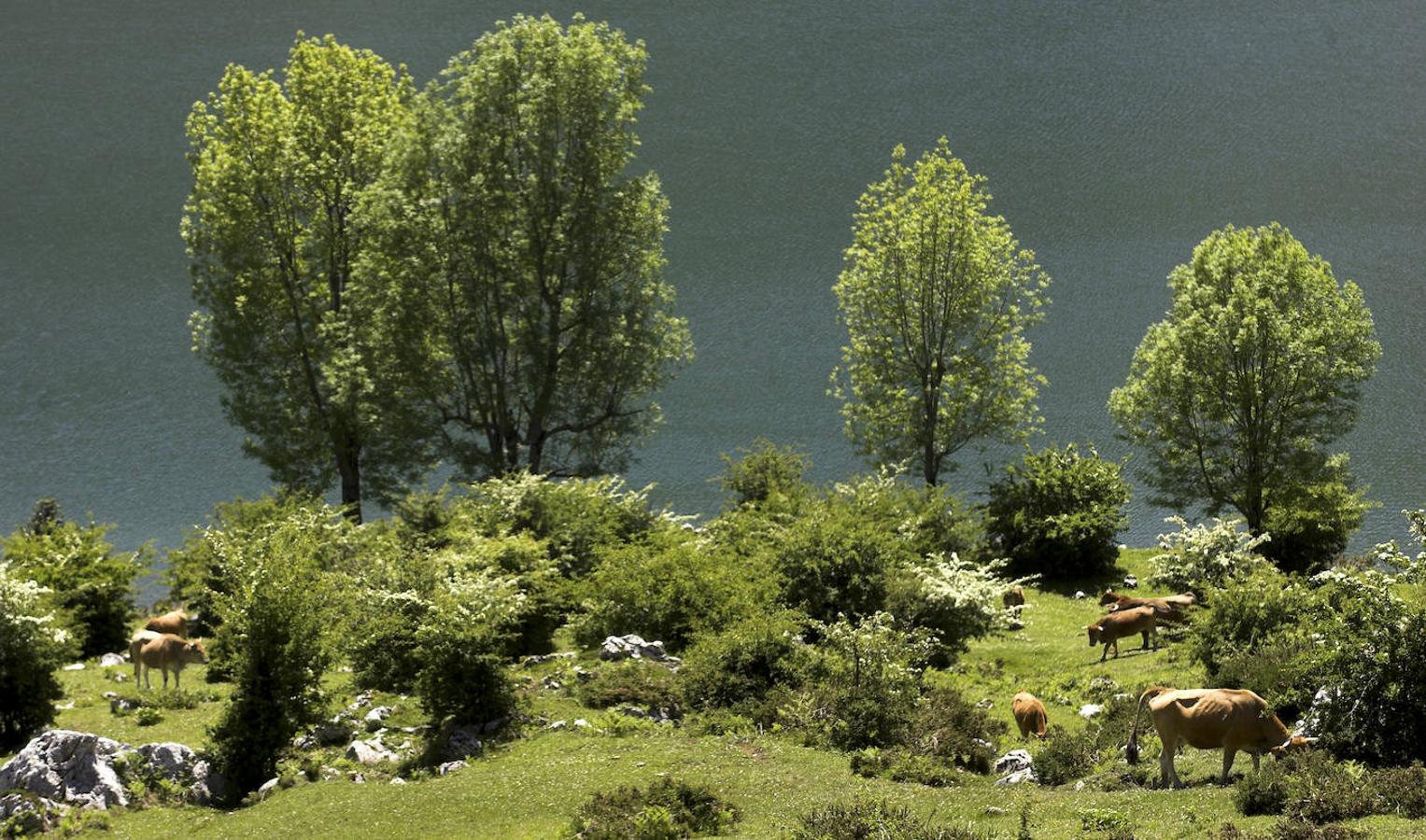 Parque Nacional Picos de Europa