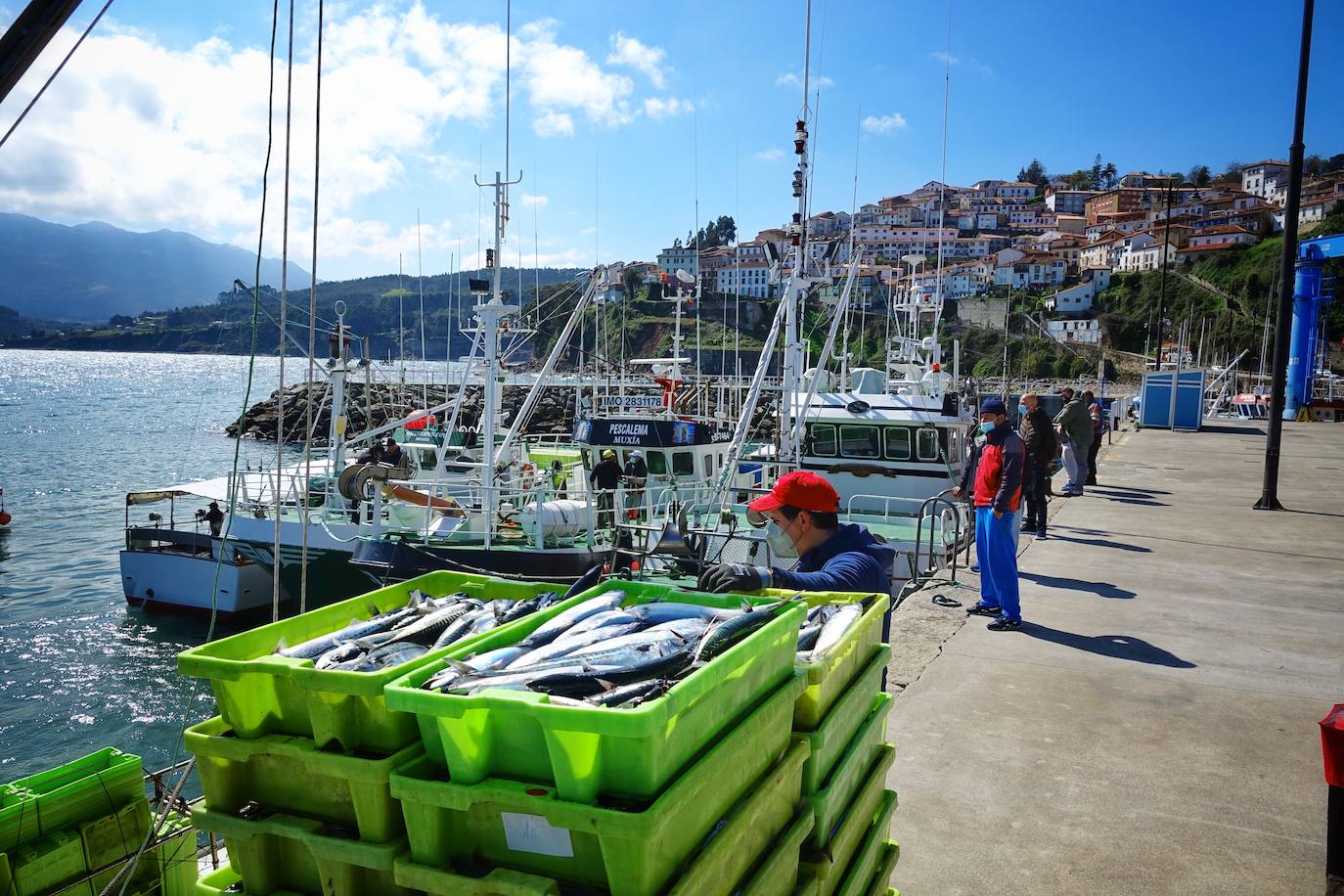 Fotos: La xarda desembarca en Lastres