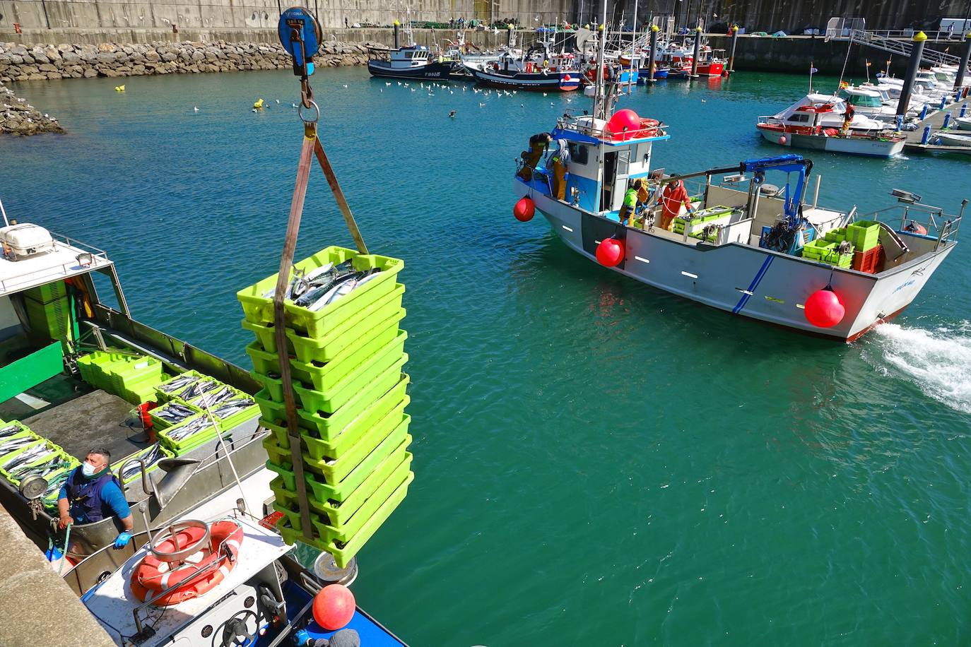 Fotos: La xarda desembarca en Lastres