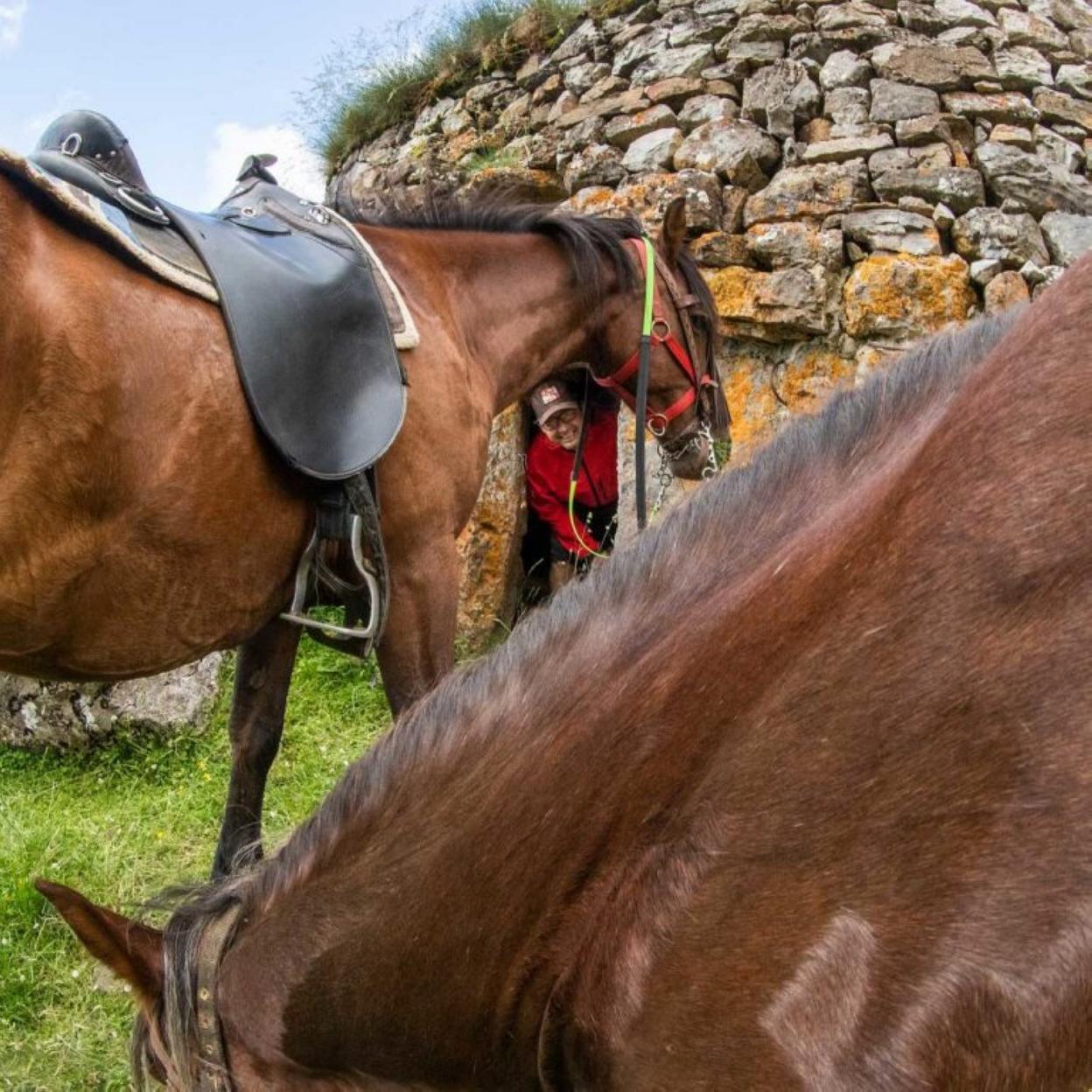 Francisco Javier González, entre dos caballos, durante una ruta. 