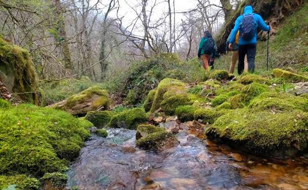 Ruta circular al Pico Vízcares desde La Pesanca