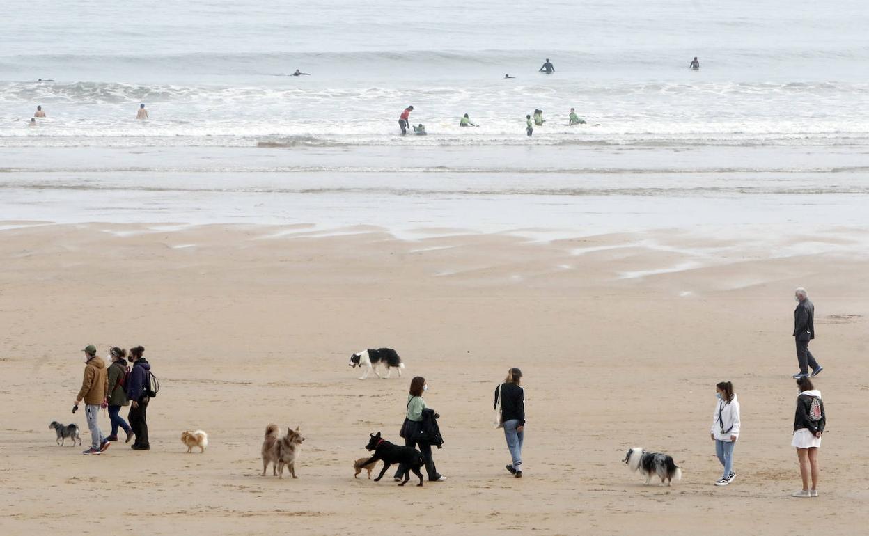 Un grupo de personas pasea por la playa gijonesa de San Lorenzo 