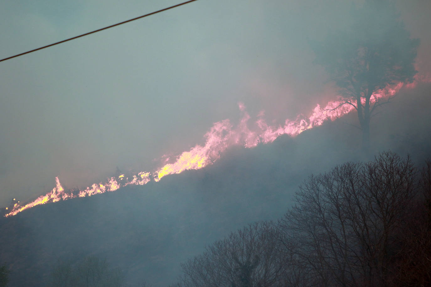 El INFOPA permanecía activado en fase de alerta, previa a la emergencia, desde el pasado 15 de enero