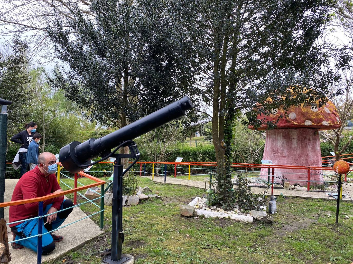 El espacio de divulgación científica más grande del Occidente reabrió esta mañana sus puertas al público tras permanecer cerrado desde el año pasado. Lo hace con una museística que ha sido totalmente renovada al quedar anegadas varias salas de exposición en el mes de diciembre debido a la borrasca 'Dora'. El Parque de la Vida alberga la mayor exposición de cefalópodos del mundo con 290 especies, entre los que se encuentra un calamar gigante de 140 kilos.