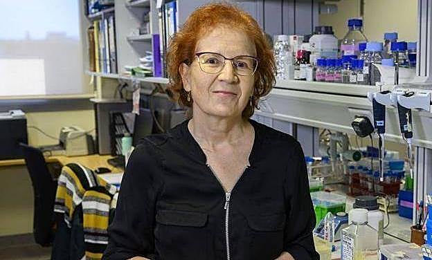 Margarita del Val pone un nuevo plazo a la pandemia del coronavirus