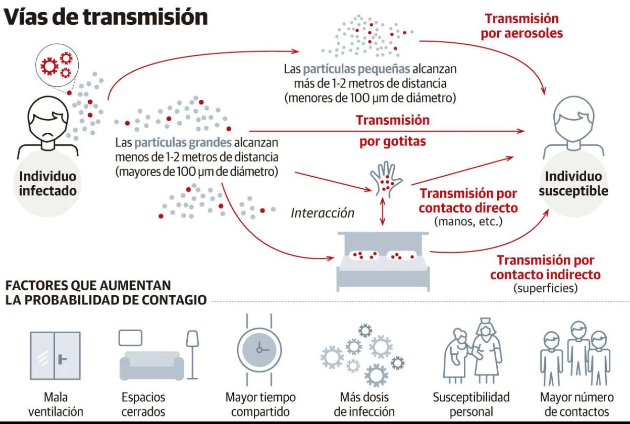 Vías de transmisión del coronavirus 