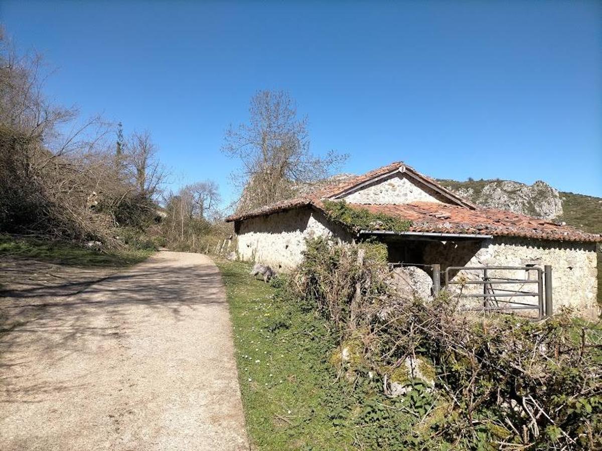 Fotos: Ruta al Pico Peñamayor desde Les Praeres