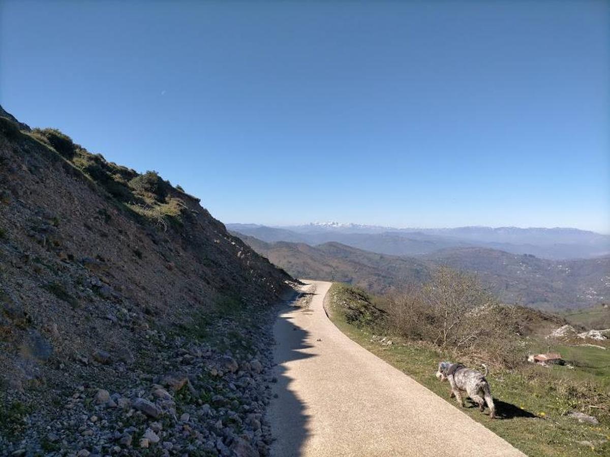 Fotos: Ruta al Pico Peñamayor desde Les Praeres