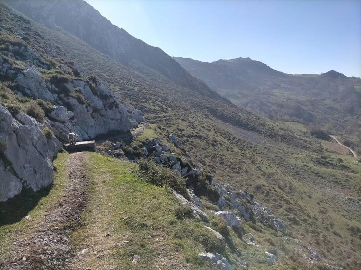 Fotos: Ruta al Pico Peñamayor desde Les Praeres