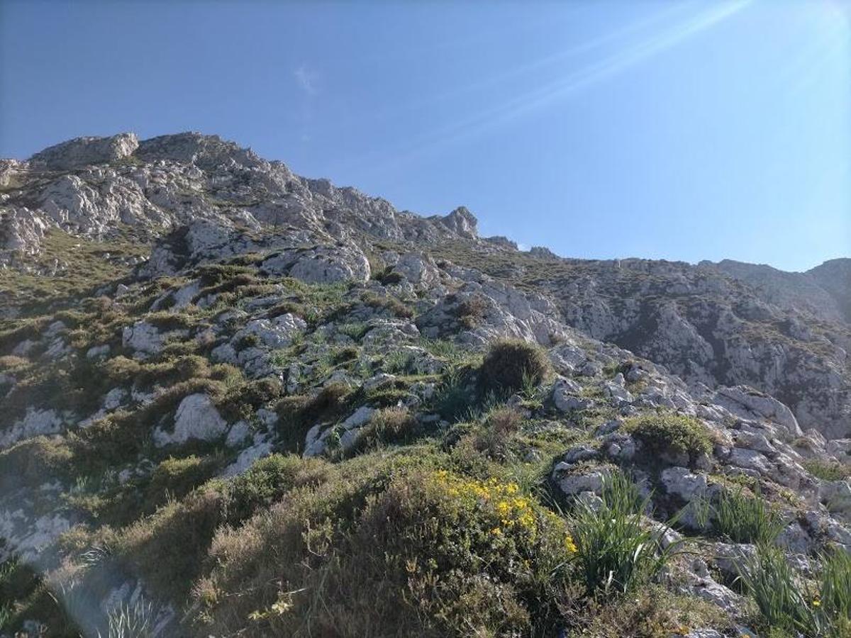 Fotos: Ruta al Pico Peñamayor desde Les Praeres