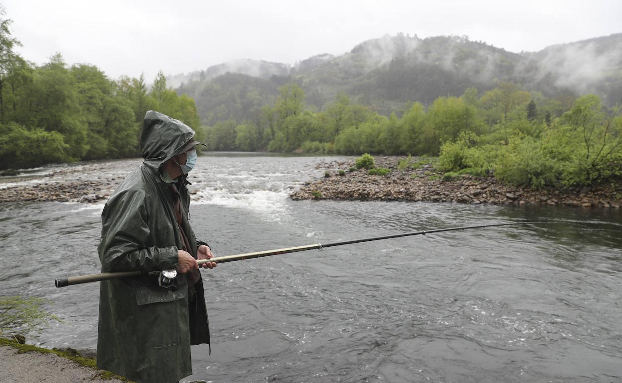 Un pescador, este domingo en un río asturiano. 