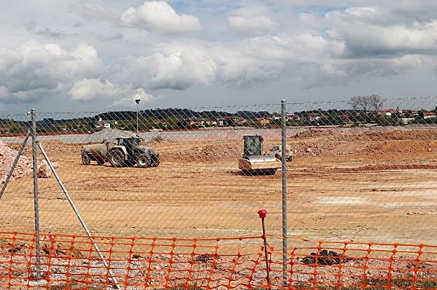 La llegada de Amazon multiplica el interés por Bobes