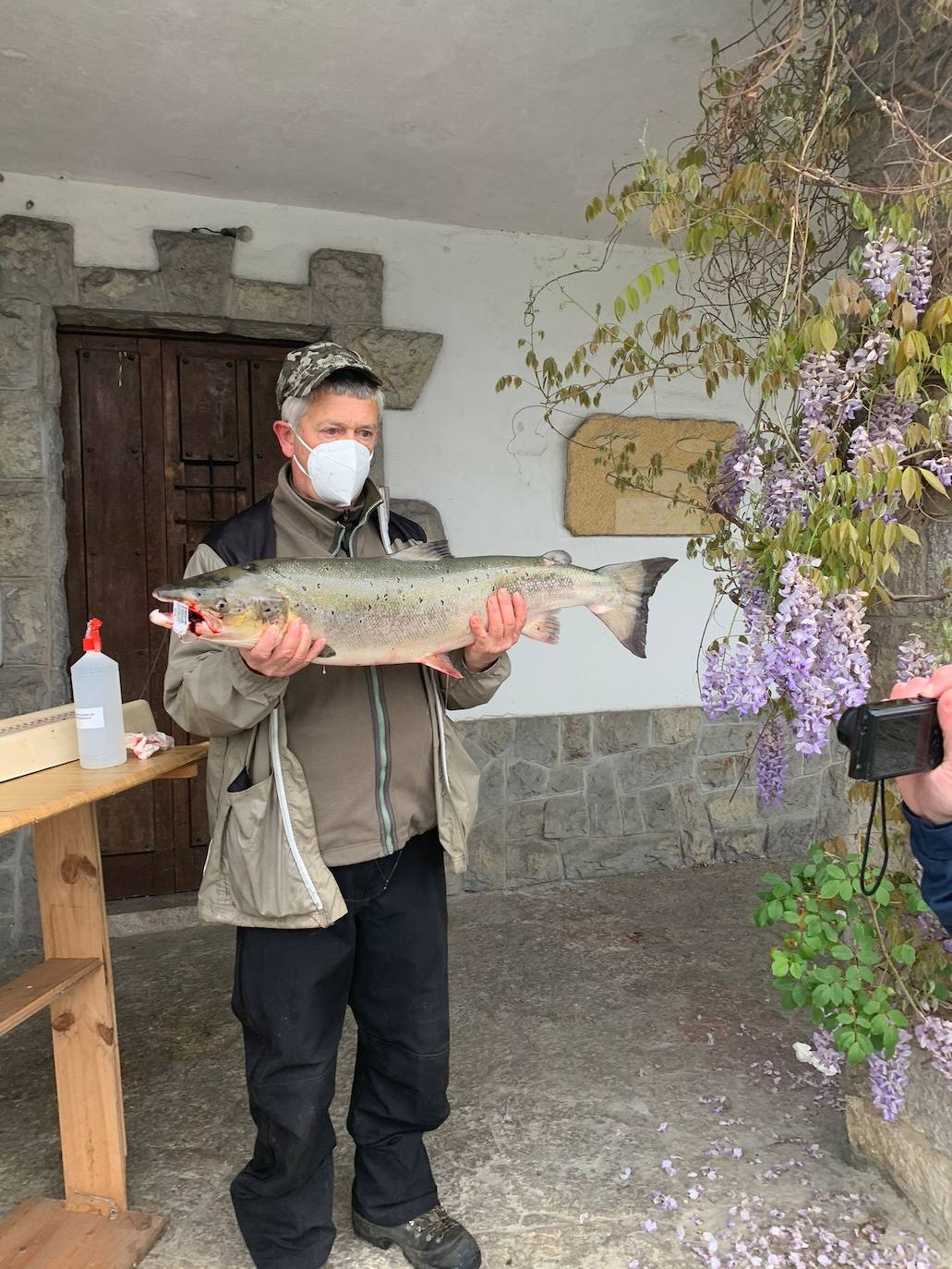 Gonzalo Suárez, de Quirós, ha capturado el campanu de Asturias 2021 en el río Eo, un ejemplar de 5,1 kilos, en la segunda jornada de la temporada de pesca con muerte. Rogelio Diego del Corro echó a tierra el primer salmón del Sella, una pieza de casi ocho kilos.