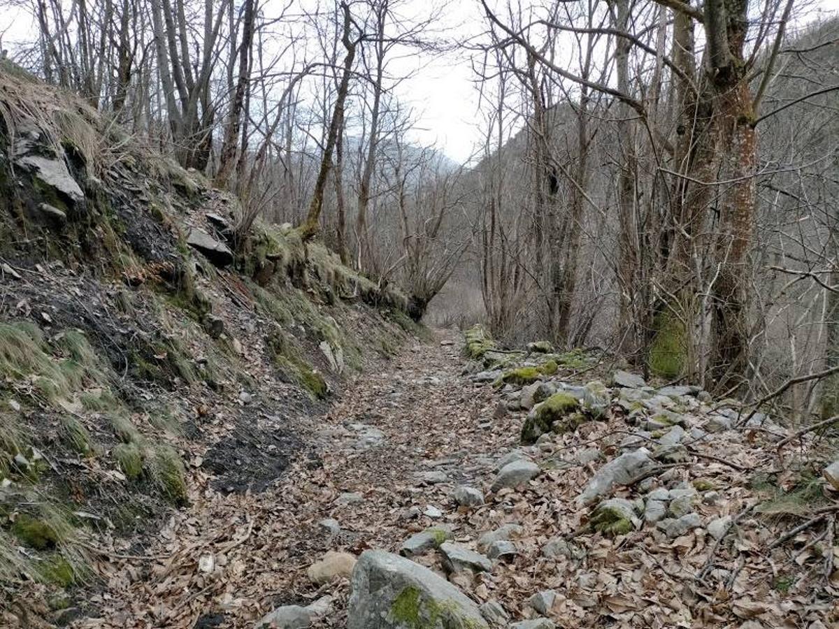 Ruta PR-AS 126 del Valle del Río Medio. Esta ruta circular de tan solo 8 km, ubicada en el Parque Natural de Redes, se puede comenzar en el pueblo de Orlé y te situará en pleno corazón de este espacio natural protegido. 