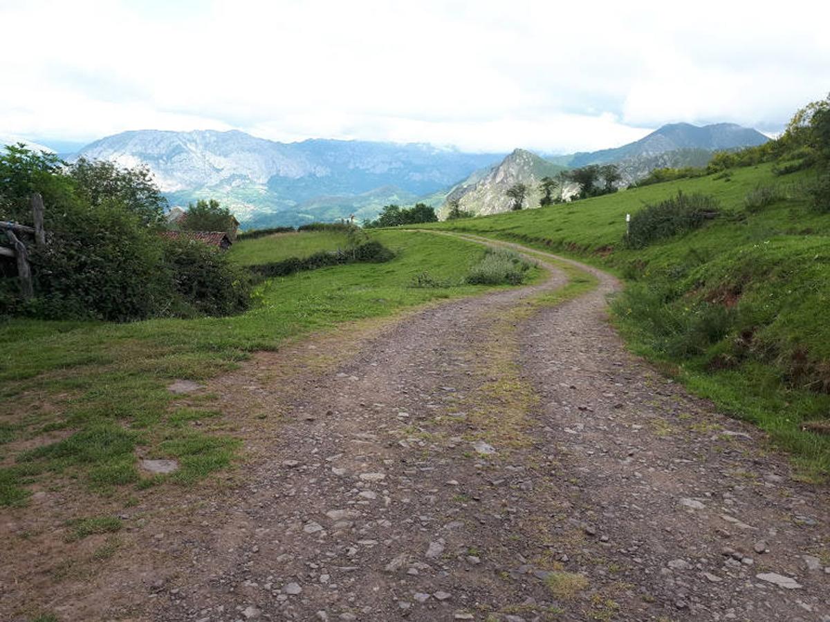 Ruta Vaqueira PR-AS 176. Se trata un recorrido circular de casi 9 km por las brañas vaqueiras, que debe su nombre a los vaqueiros de la zona y ganaderos que subían el ganado a los puertos cada primavera. 