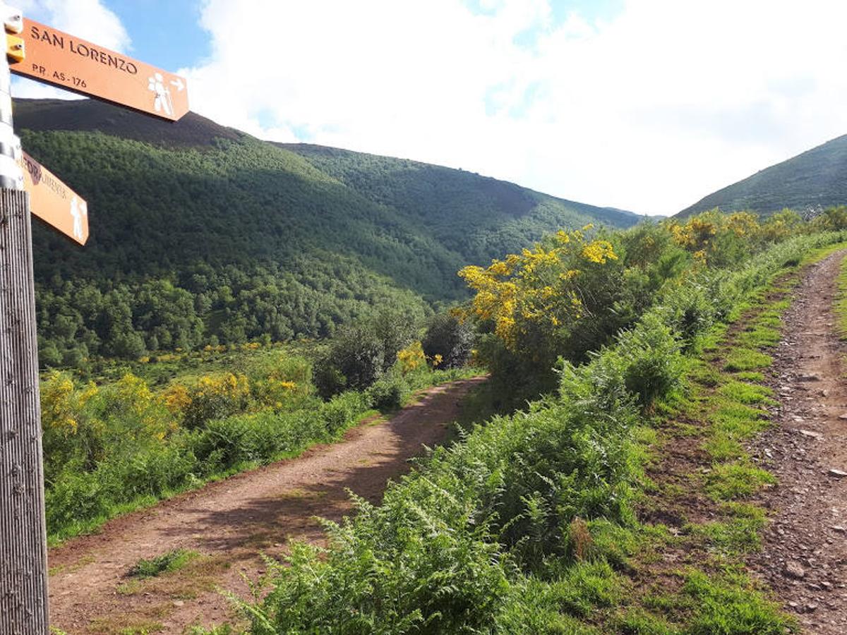 Ruta Vaqueira PR-AS 176. Se trata un recorrido circular de casi 9 km por las brañas vaqueiras, que debe su nombre a los vaqueiros de la zona y ganaderos que subían el ganado a los puertos cada primavera.