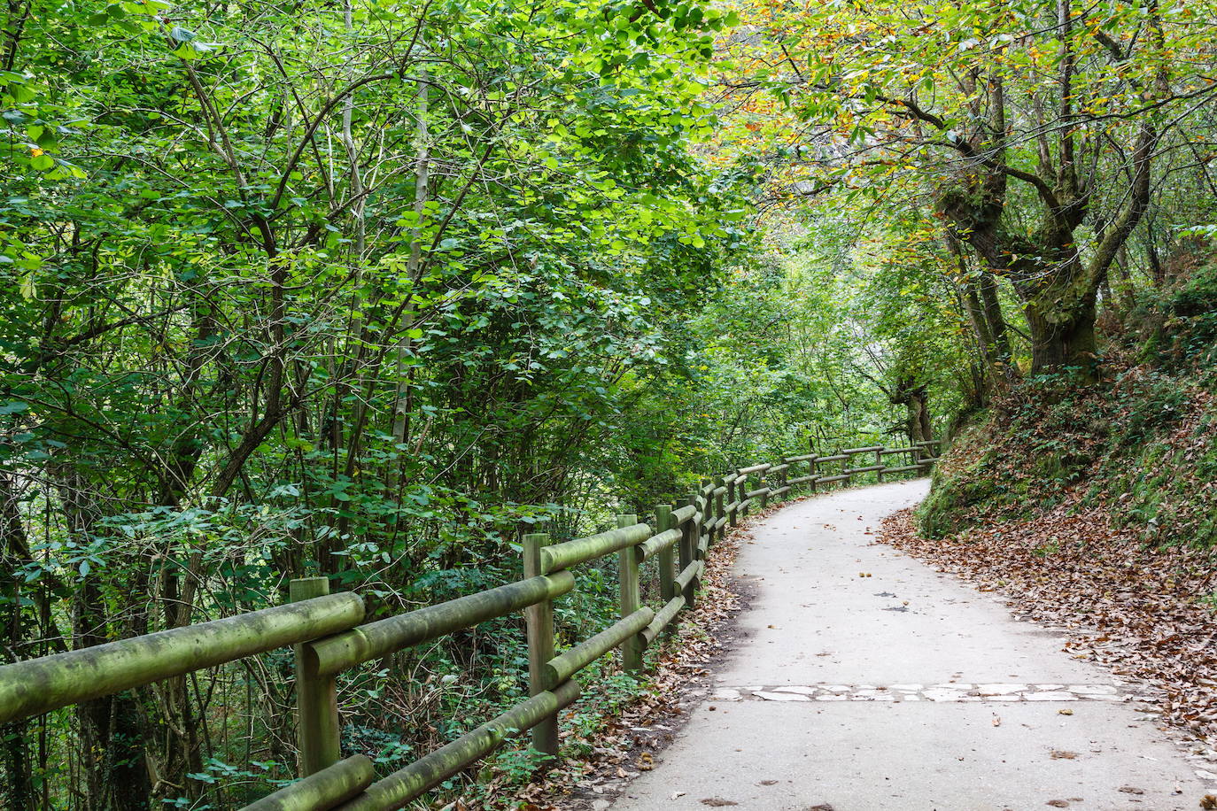 Ruta del Alba. La ruta del Alba es una de las más conocidas de Asturias, declarada Monumento Natural en el año 2001. La pista se encuentra en la parte alta y media del valle del Nalón. Se inicia en la localidad de Soto de Agües y corre paralela al río Alba o Llaímo