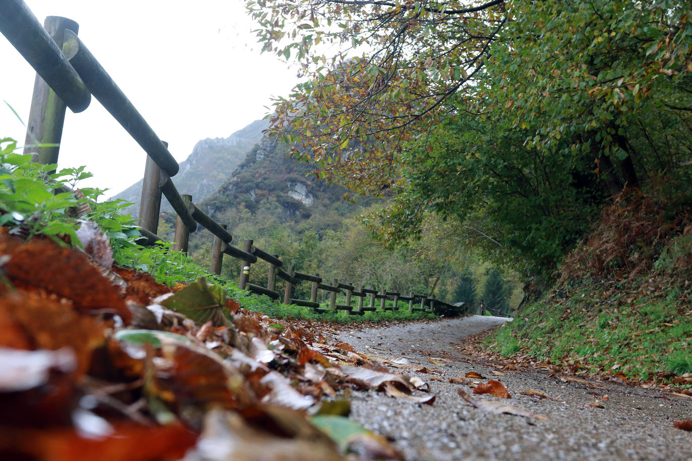 Ruta del Alba. La ruta del Alba es una de las más conocidas de Asturias, declarada Monumento Natural en el año 2001. La pista se encuentra en la parte alta y media del valle del Nalón. Se inicia en la localidad de Soto de Agües y corre paralela al río Alba o Llaímo