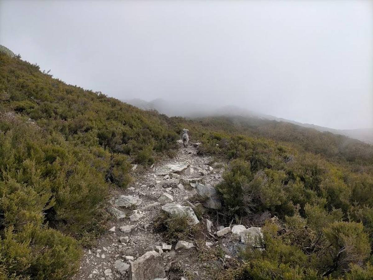 Fotos: Ruta con nieve al Pico Cornón