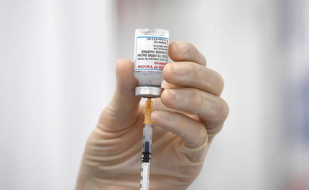 Los anticuerpos generados por la vacuna de Moderna contra la covid 19 están presentes seis meses después de la segunda dosis