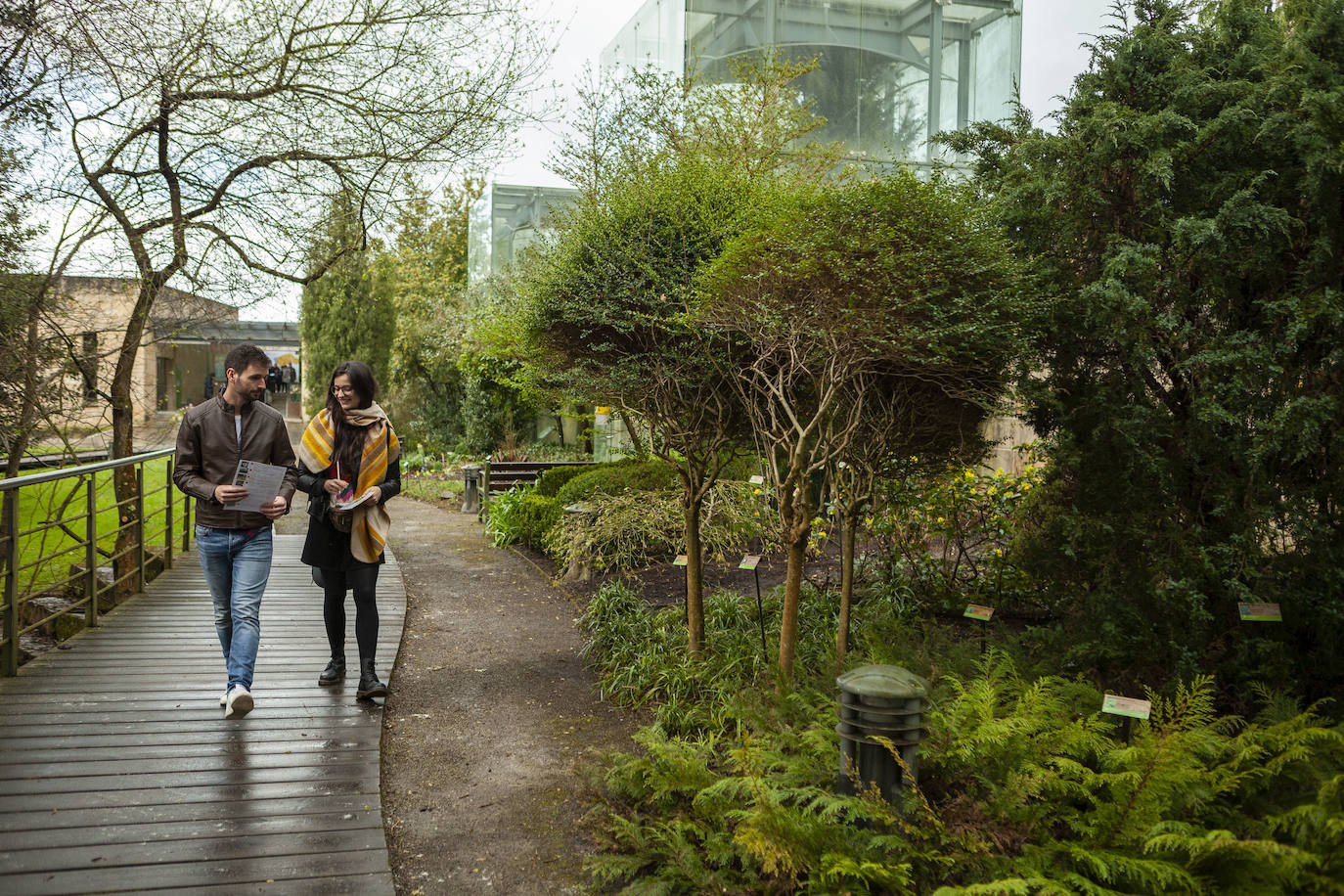 El Jardín Botánico de Gijón será el primero del país en integrarse en una red internacional que estudia cómo afecta el clima a las especies vegetales. Se marcan dos años para llevarlo a cabo y también para relanzarlo y que se convierta en un centro de referencia en conservación de especies y hábitats vegetales, tanto en España como en Europa.