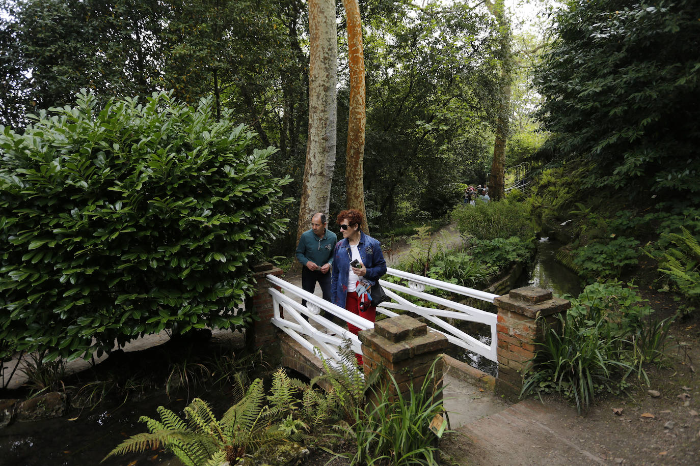 El Jardín Botánico de Gijón será el primero del país en integrarse en una red internacional que estudia cómo afecta el clima a las especies vegetales. Se marcan dos años para llevarlo a cabo y también para relanzarlo y que se convierta en un centro de referencia en conservación de especies y hábitats vegetales, tanto en España como en Europa.