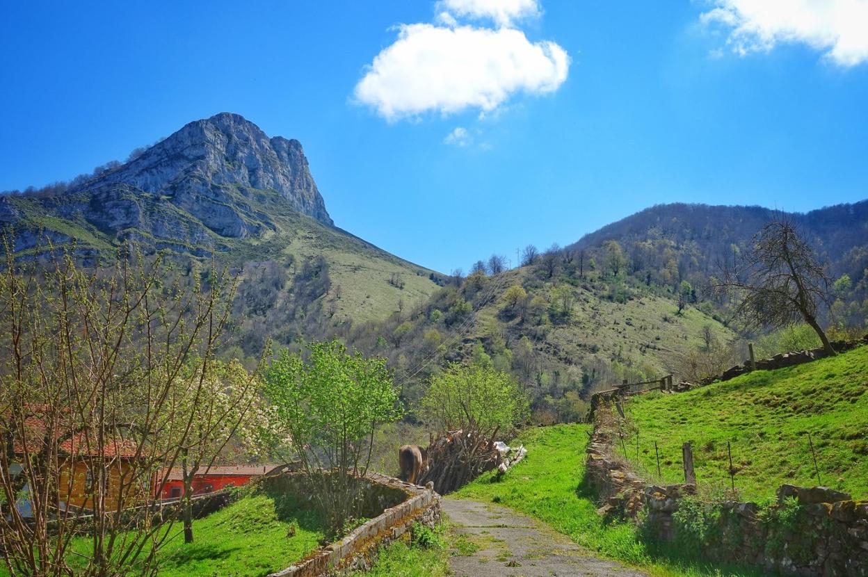 La idea del Ayuntamiento es habilitar una pista de emergencia a través de Viego. 