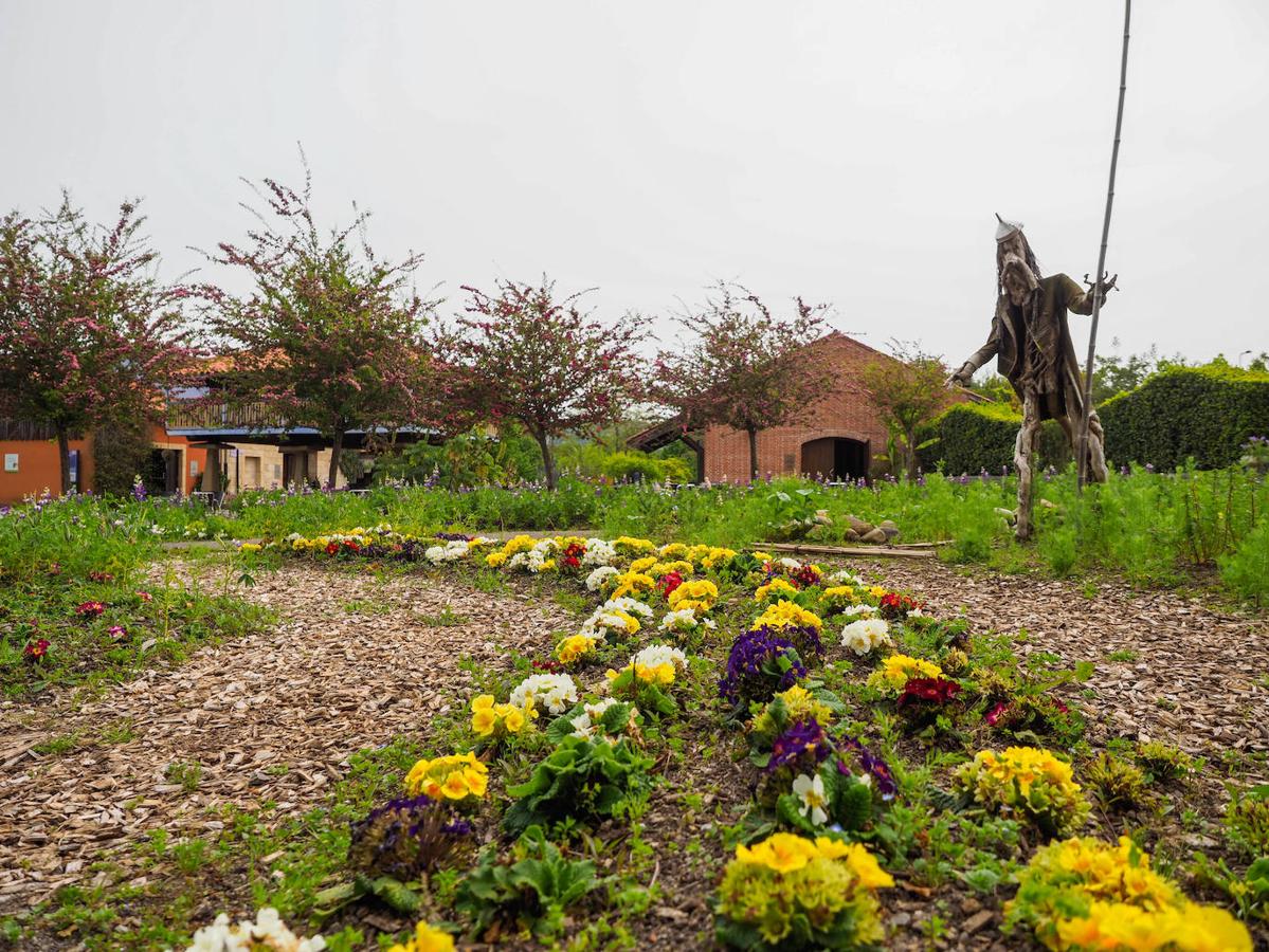 El Jardín Botánico de Gijón será el primero del país en integrarse en una red internacional que estudia cómo afecta el clima a las especies vegetales. Se marcan dos años para llevarlo a cabo y también para relanzarlo y que se convierta en un centro de referencia en conservación de especies y hábitats vegetales, tanto en España como en Europa.