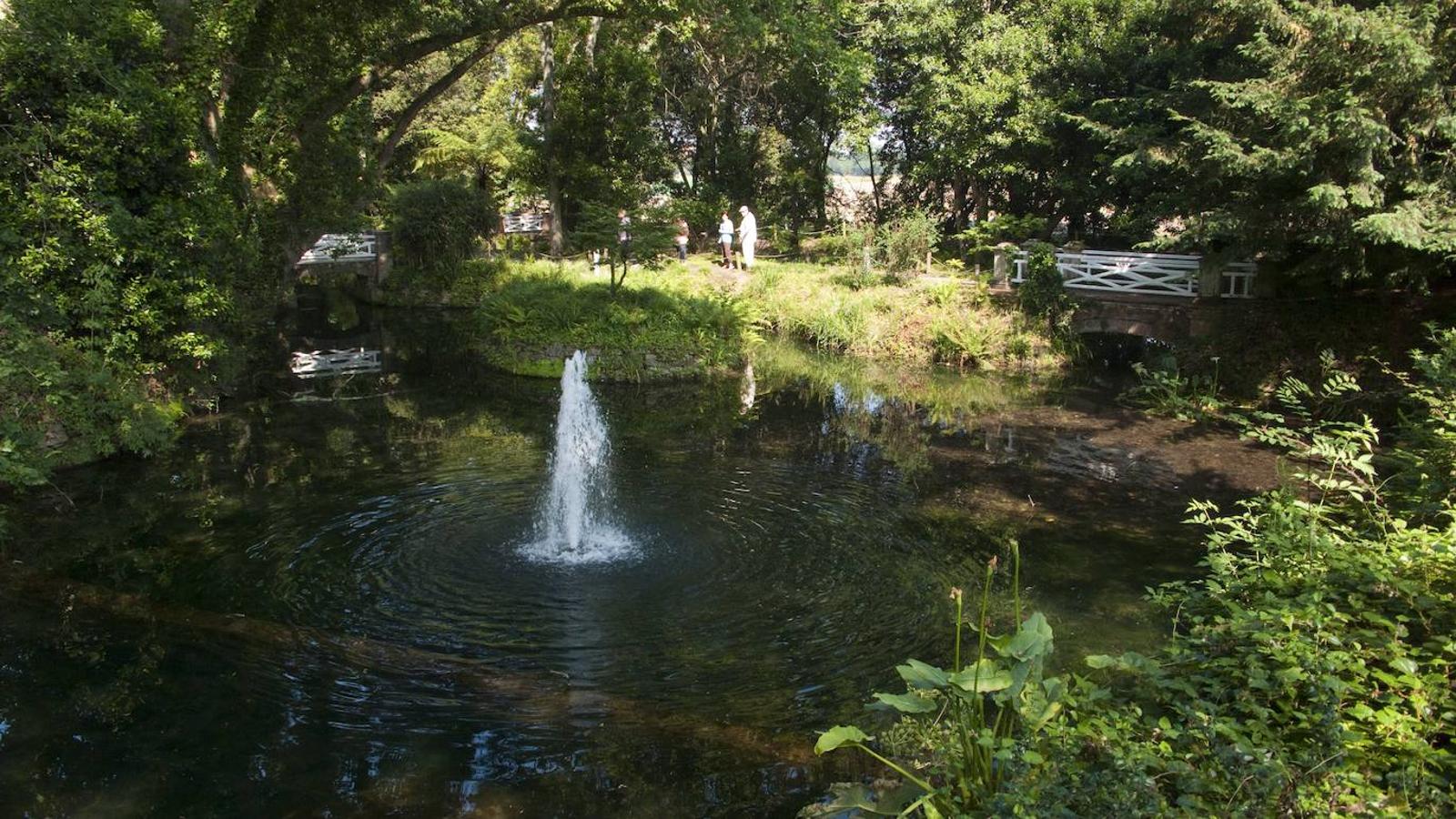 El Jardín Botánico de Gijón será el primero del país en integrarse en una red internacional que estudia cómo afecta el clima a las especies vegetales. Se marcan dos años para llevarlo a cabo y también para relanzarlo y que se convierta en un centro de referencia en conservación de especies y hábitats vegetales, tanto en España como en Europa.