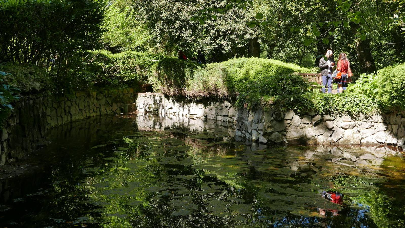 El Jardín Botánico de Gijón será el primero del país en integrarse en una red internacional que estudia cómo afecta el clima a las especies vegetales. Se marcan dos años para llevarlo a cabo y también para relanzarlo y que se convierta en un centro de referencia en conservación de especies y hábitats vegetales, tanto en España como en Europa.